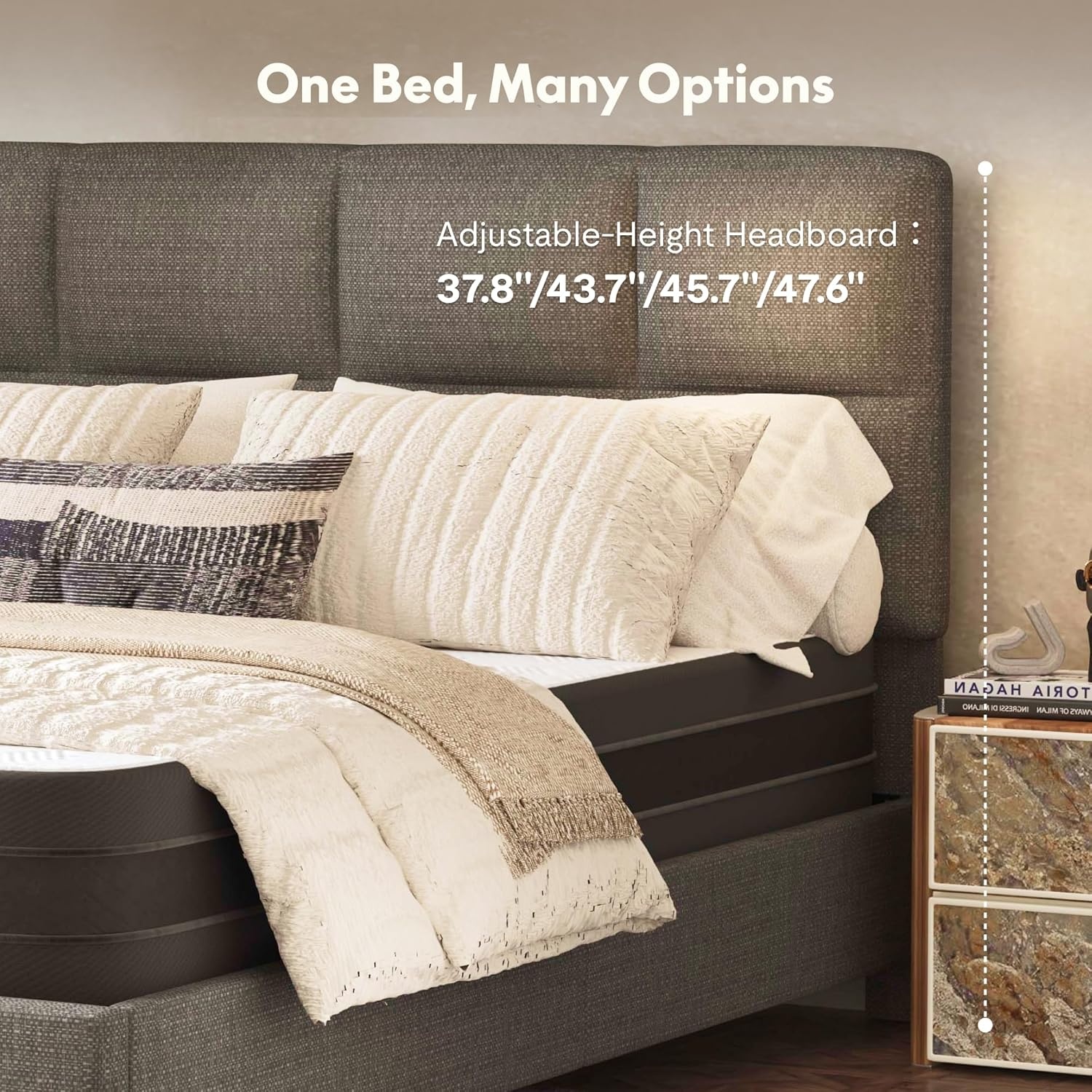 image:imageFLEXISPOT AllinOne Adjustable Bed QueenModern Minimalist DesignSynchronized Head amp Foot Lift for Reading TV amp RelaxationSquare Tufted Headboard600 lbs5Y Motor amp 10Y Frame WarrantyQueenDark Grey