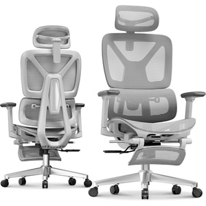 image:imageFLEXISPOT ErgoX Premium Ergonomic Office Chair with Footrest  Adjustable 3D Armrests Dynamic Lumbar Support Recline amp Tilt Function Mesh Seat for Home amp Office Use BlackBreathable Light Grey