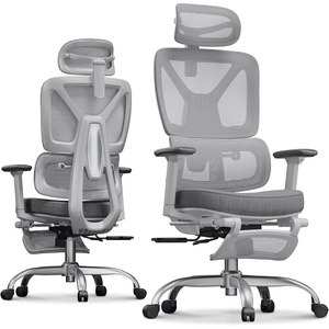 image:imageFLEXISPOT ErgoX Premium Ergonomic Office Chair with Footrest  Adjustable 3D Armrests Dynamic Lumbar Support Recline amp Tilt Function Mesh Seat for Home amp Office Use BlackCloudtech Light Grey