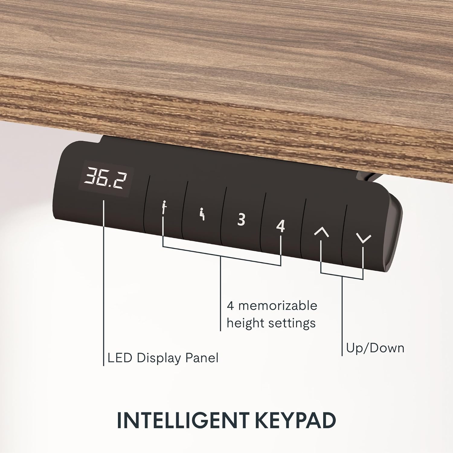 image:imageFLEXISPOT E6 3Stage Dual Motor Electric Standing Desk 55 x 28 Sit Stand Up Desk Holds 220 lbs Adjustable Height wMemory Presets OnePiece Special Walnut Desktop amp Black Frame Ships in 2 BoxesWhite Frame Brown Wood Top