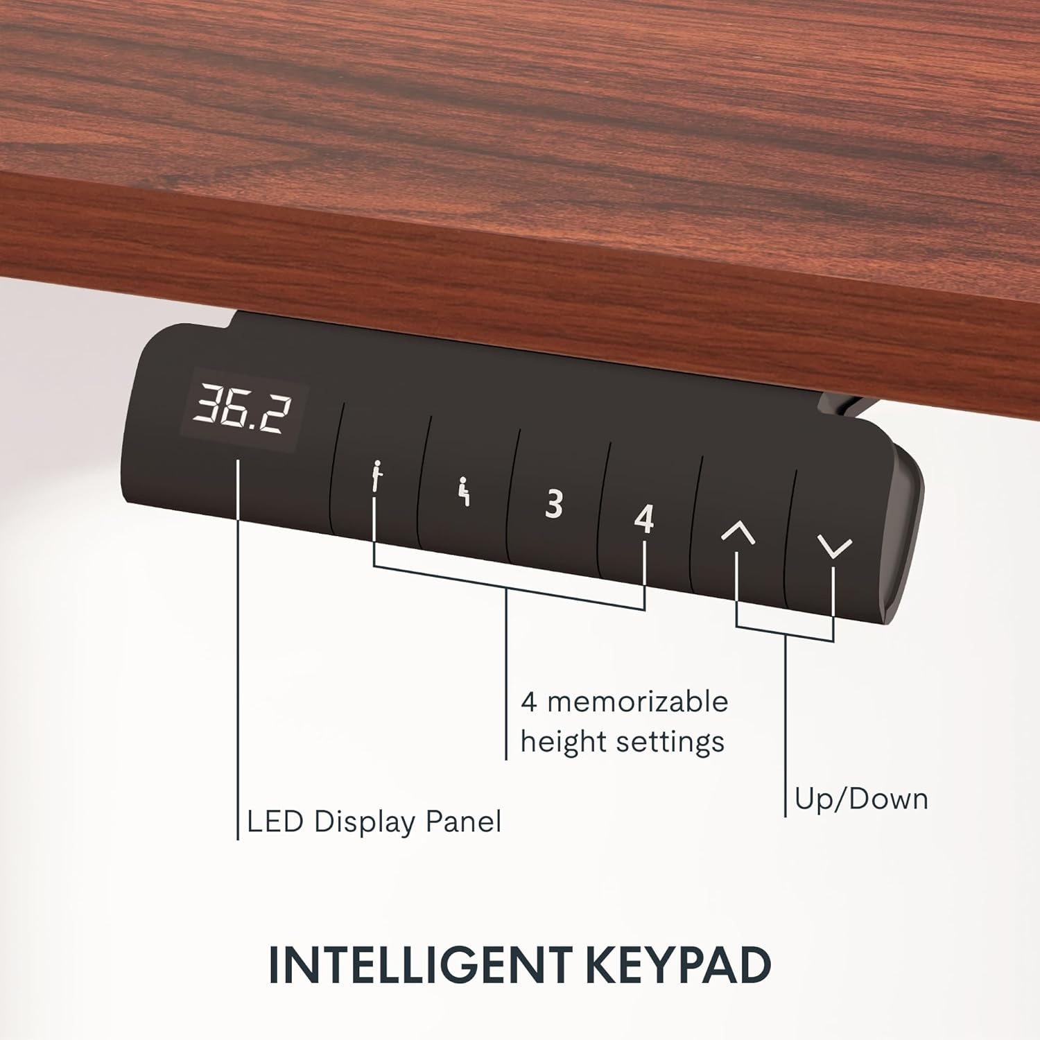 image:imageFLEXISPOT E6 3Stage Dual Motor Electric Standing Desk 55 x 28 Sit Stand Up Desk Holds 220 lbs Adjustable Height wMemory Presets OnePiece Special Walnut Desktop amp Black Frame Ships in 2 BoxesBlack Frame Mahogany Top