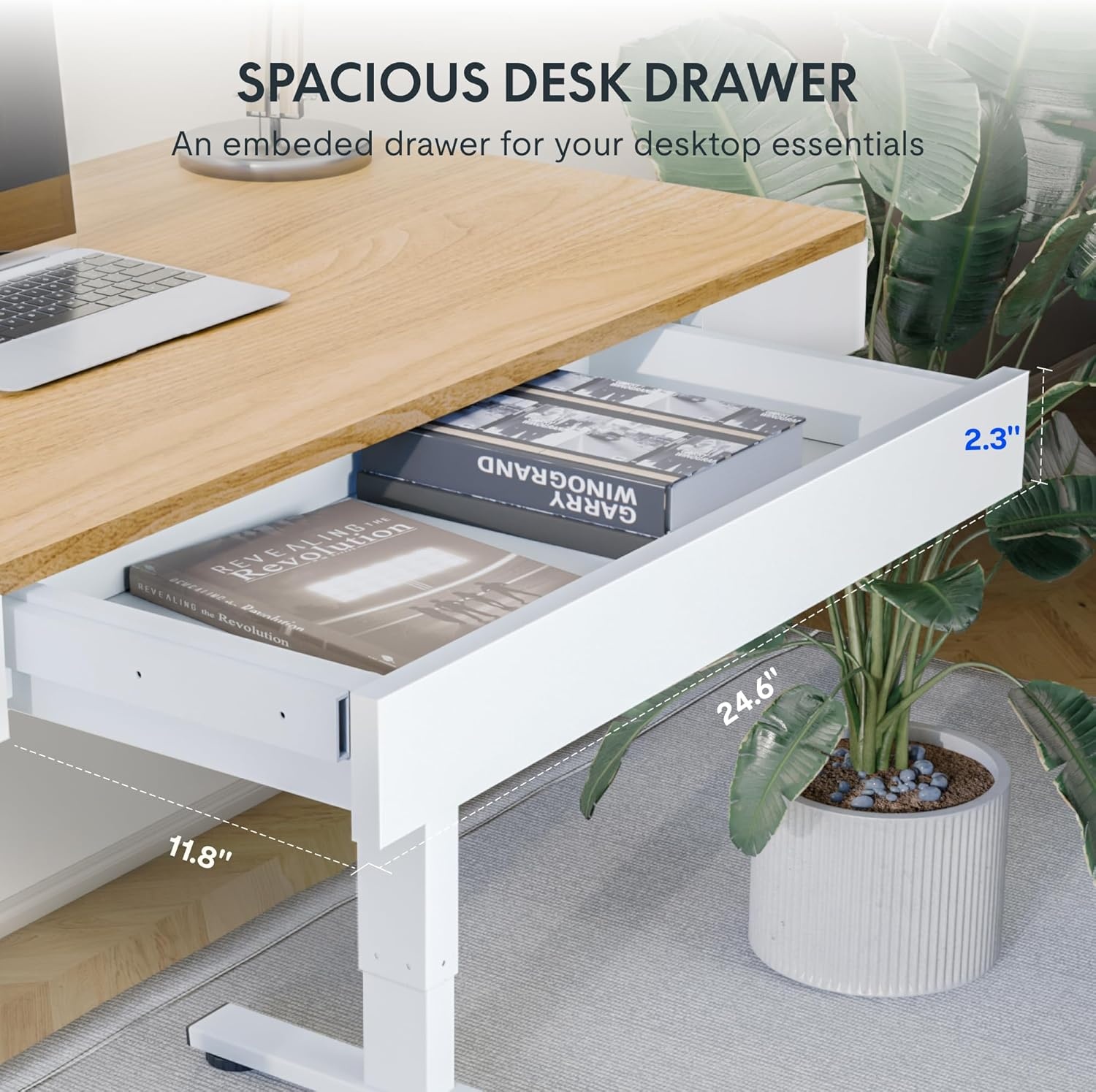 image:imageFLEXISPOT Q8 55 Bamboo Standing Desk Dual Motor 3 Stages Adjustable Height Electric Computer Workstation wWireless Charging Drawer Quick Install 220lbs Capacity Bamboo Tabletop White FrameMaple
