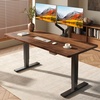 Black Frame+ Black Walnut Top