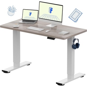 image:imageFLEXISPOT EN1 OnePiece Standing Desk 48x24 Seamless Desktop Electric Height Adjustable Desk for Home Office MultiMonitor Setups amp Easy Assembly MapleGray Wood